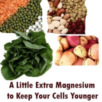 magnesium-cells-younger