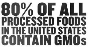 80 percent GMO