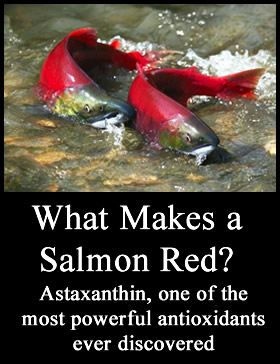 salmon-human-health-astaxanthin-small