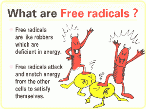 what-are-free-radicals
